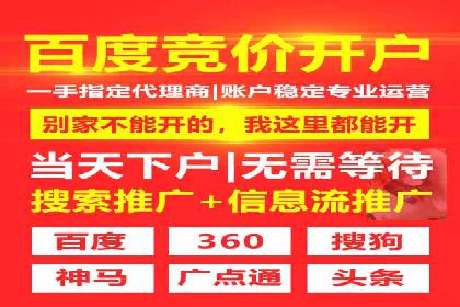 解析某某SEM服务公司如何通过数据分析优化广告效果